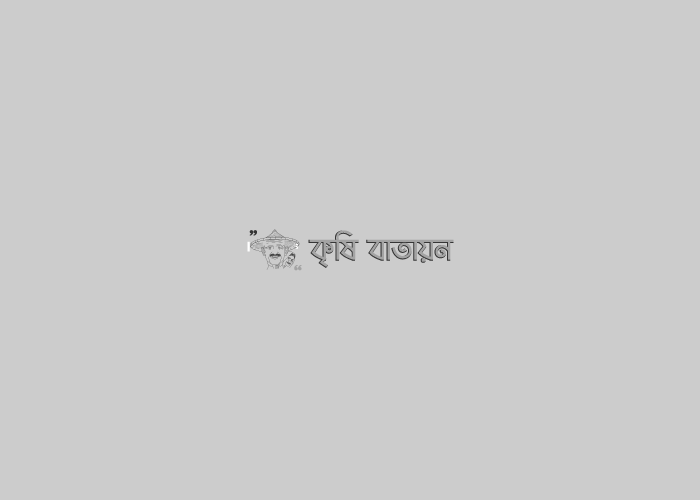 কাঁঠালের উৎপাদন প্রযুক্তি